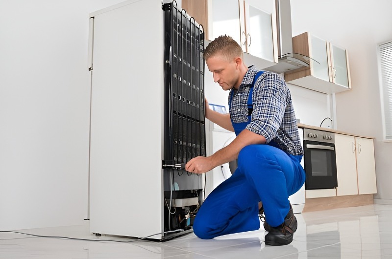 Refrigerator repair in Fountainebleau